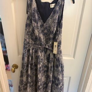 Eliza J Navy and White Lace Backless Dress